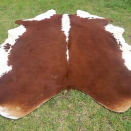 Hereford Redish Brown Large New Cowhide Rug Natural Hair On - 7x7 Ft Size Extra Tri-Color Redish Tones Soft Carpet Cow Hide 6x6 W-Hr - thumbnail 2