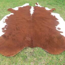 Hereford Redish Brown Large New Cowhide Rug Natural Hair On - 7x7 Ft Size Extra Tri-Color Redish Tones Soft Carpet Cow Hide 6x6 W-Hr - thumbnail 3