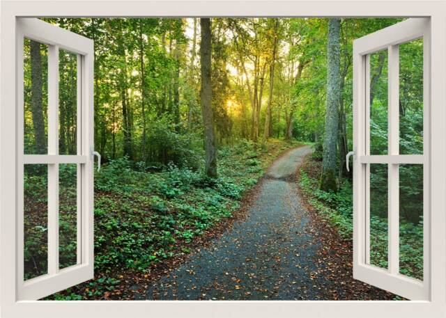 Forest View Wall Decal, Walkway Path Sticker, 3D Window Trees Green Frame Sticker Mural Home Decor