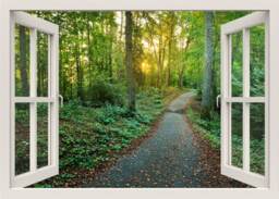 Forest View Wall Decal, Walkway Path Sticker, 3D Window Trees Green Frame Sticker Mural Home Decor
