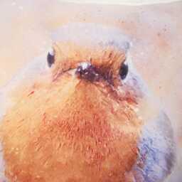 Winter Robin Cushion, Artist Watercolour Print Bird Pillow, Cover Only Or + Pad - thumbnail 3