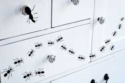 Set Of 16 Ants Vinyl Wall Decal Stickers Insect Interior Home Decor - thumbnail 1