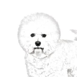 Bichon Frise - Wooden Stand For Candles/Pens With The Image Of A Dog New Collection - thumbnail 2