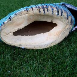 Garden Sculpture -Ammonite - thumbnail 4