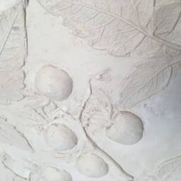 Tile Tomato Cast. Botanical Decorative Unique Plaster Wall Art Fram?? Wood Concrete Impression Eco Friendly Pressed Flowers - thumbnail 2