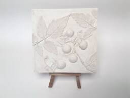 Tile Tomato Cast. Botanical Decorative Unique Plaster Wall Art Fram?? Wood Concrete Impression Eco Friendly Pressed Flowers
