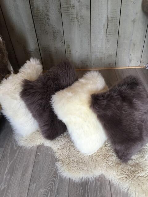 Australian Sheepskin Cushion Cover, Ivory Cream, Soft Suede Back - 42cm - image 1