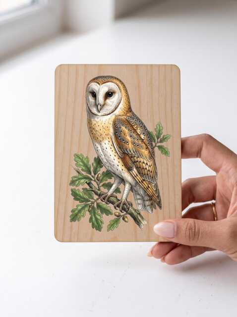 Barn Owl Art Print - Vintage Illustration Wall Bird Of Prey Pine Wooden Postcard Gift - image 1