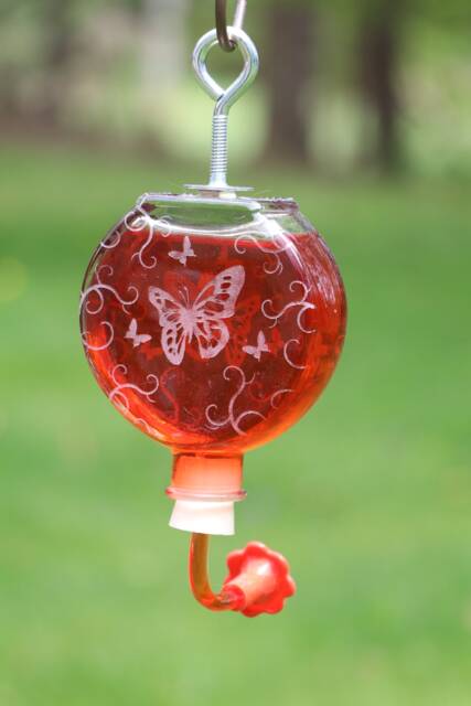 Etched Butterfly With Flourish Window Or Garden Bottle Hummingbird Feeder - image 1