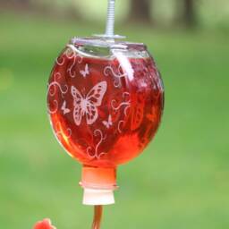 Etched Butterfly With Flourish Window Or Garden Bottle Hummingbird Feeder - thumbnail 3
