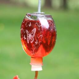 Etched Butterfly With Flourish Window Or Garden Bottle Hummingbird Feeder - thumbnail 2