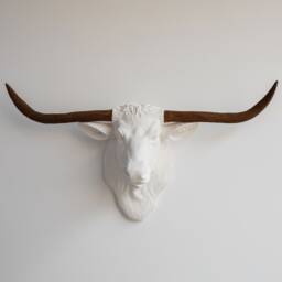 Faux Taxidermy Texas Longhorn Head Wall Mount - Decor White & Rust Tlh0173 - thumbnail 1