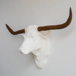 Faux Taxidermy Texas Longhorn Head Wall Mount - Decor White & Rust Tlh0173 - thumbnail 2