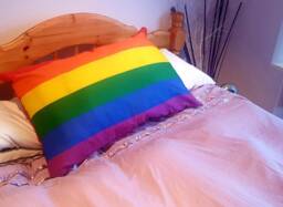 Large Gay Pride Flag Pillow Cover