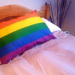 Large Gay Pride Flag Pillow Cover - thumbnail 2