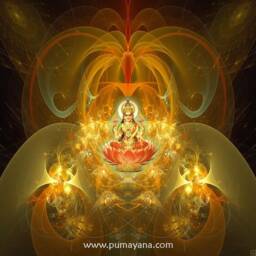 Lakshmi Healing Mandala Tapestry - Wall Hanging Mindfulness Gift Meditation Feminine- Spiritual Visionary Art Fertility - thumbnail 2