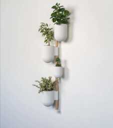 The Ira Vertical Rail Planter Wall Mounted System - Including Pine Dowel - thumbnail 1