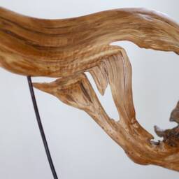 Image Primordial Fish - thumbnail 4