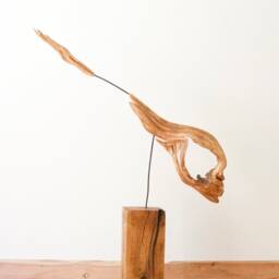 Image Primordial Fish - thumbnail 2