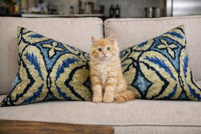 Ikat Velvet Pillow Cover - 16x24 Handwoven Silk Cushion - image 1