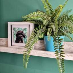 Cockerpoo Dog Ceramic Wall Art Mini Framed Picture - thumbnail 4