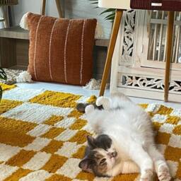 Custom Checkerboard Rug, Handmade Moroccan Wool Modern Checkered Area Berber Rug, Mustard Yellow - thumbnail 3