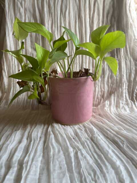 Candy Floss Pink Ceramic Planter, Handmade Glazed Pot, Pink Plant Large Vessel, Unique British Gift, Handcrafted Pots - image 1