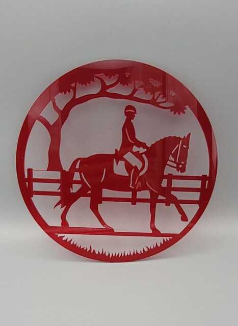 Horse Riding, Jumping, Stables, Teenager Girls Bedroom Decor, Club Name Sign Name, Door Or Wall Hanger in Acrylic Wood - image 1