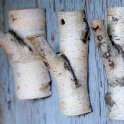 5 ????. Natural Branch Wall Hooks, Rustic Wooden Coat Rack, Birch Hook, Ructic Home Decor, Tree Log, Decorative Branches - thumbnail 3