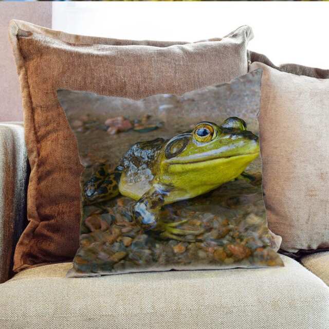 Frog Toad Outdoor Photography - Decorative Pillow Throw Cushion Fabric , Case Cover Or With Filling