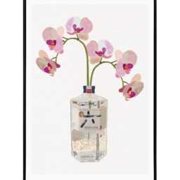 Roku Japanese Gin & Pink Orchids Kitchen Art Print/Wall Art, Pretty, Quirky Decor Gift For Her/Him, Alcohol Cocktail Bar Poster Botanical - thumbnail 3