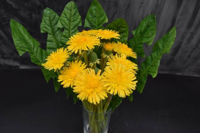 Handmade Polymer Clay Dandelion Bouquet Bright Yellow Floral Arrangement - image 1