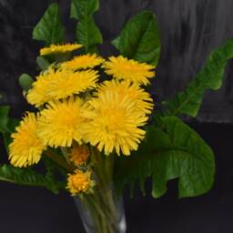 Handmade Polymer Clay Dandelion Bouquet Bright Yellow Floral Arrangement - thumbnail 4