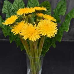 Handmade Polymer Clay Dandelion Bouquet Bright Yellow Floral Arrangement - thumbnail 3