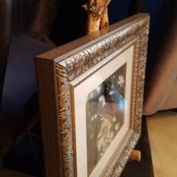 Butterfly On Flower Framed Print - thumbnail 2