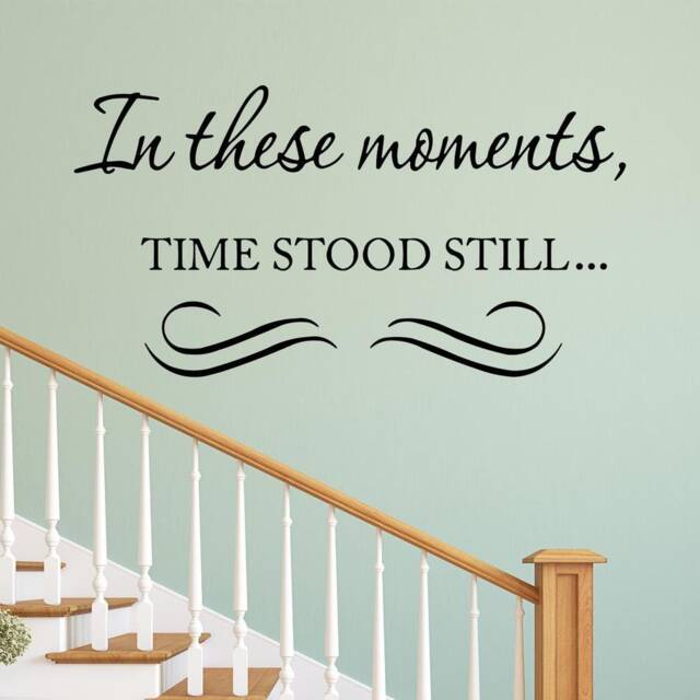 "Vwaq in These Moments, Time Stood Still Matte Black Vinyl Wall Decal Quote Accent For Family Photos - 18""H X 33" - image 1