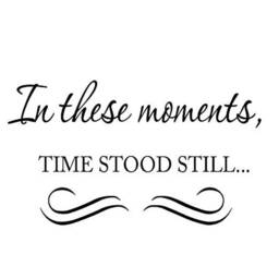 "Vwaq in These Moments, Time Stood Still Matte Black Vinyl Wall Decal Quote Accent For Family Photos - 18""H X 33" - thumbnail 2
