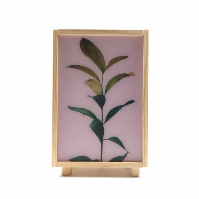 Plant Light Box, Wooden Led Lamp, Bedside Table Night Light, Plant Lampshade, , Lamp. #clara - image 1