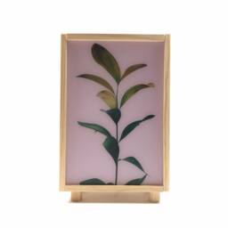Plant Light Box, Wooden Led Lamp, Bedside Table Night Light, Plant Lampshade, , Lamp. #clara