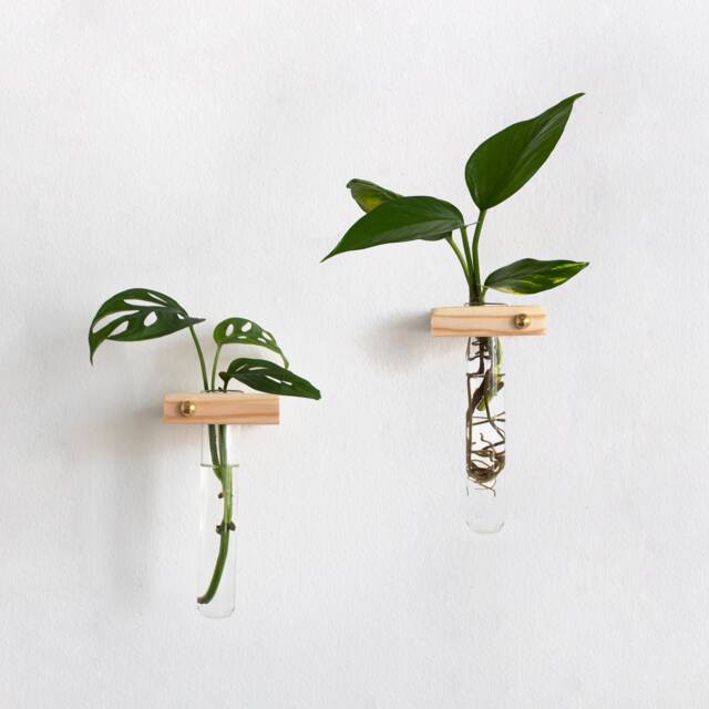 Propagation Station Set Of 2, Plant Wall Hanging, Tubes, Test Tube Holder, Planter - image 1