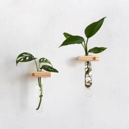 Propagation Station Set Of 2, Plant Wall Hanging, Tubes, Test Tube Holder, Planter