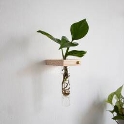 Propagation Station Set Of 2, Plant Wall Hanging, Tubes, Test Tube Holder, Planter - thumbnail 2