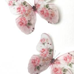 Set Of 4 Shabby Chic Pink Rose Butterfly Decals 3D Wall Art, Furniture Accessories - thumbnail 3
