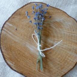 Mini Dried Lavender Bouquets 2024 Harvest, Wedding Favors - thumbnail 3