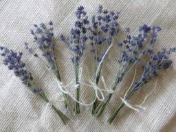 Mini Dried Lavender Bouquets 2024 Harvest, Wedding Favors - thumbnail 1