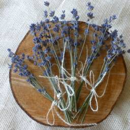 Mini Dried Lavender Bouquets 2024 Harvest, Wedding Favors - thumbnail 2