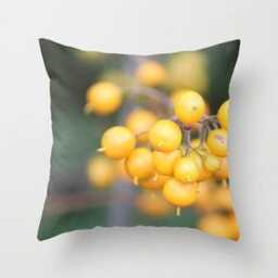 Orange Berries, Pillow Or Cover, Home Decoration, Holiday Decor, Green Pillow, Fall Nature