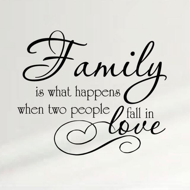 Family Is What Happens When Two People Fall in Love Wall Decal Nursery Quote Decor#1334 - image 1