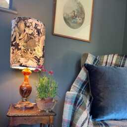Peacock Butterfly Velvet in Black, Circular Drum Lampshade/ Ceiling Shade, With A White Lining - thumbnail 3