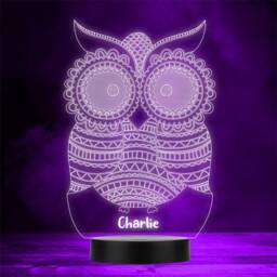 Patterned Pretty Owl Personalised Gift Colour Changing Led Lamp Night Light